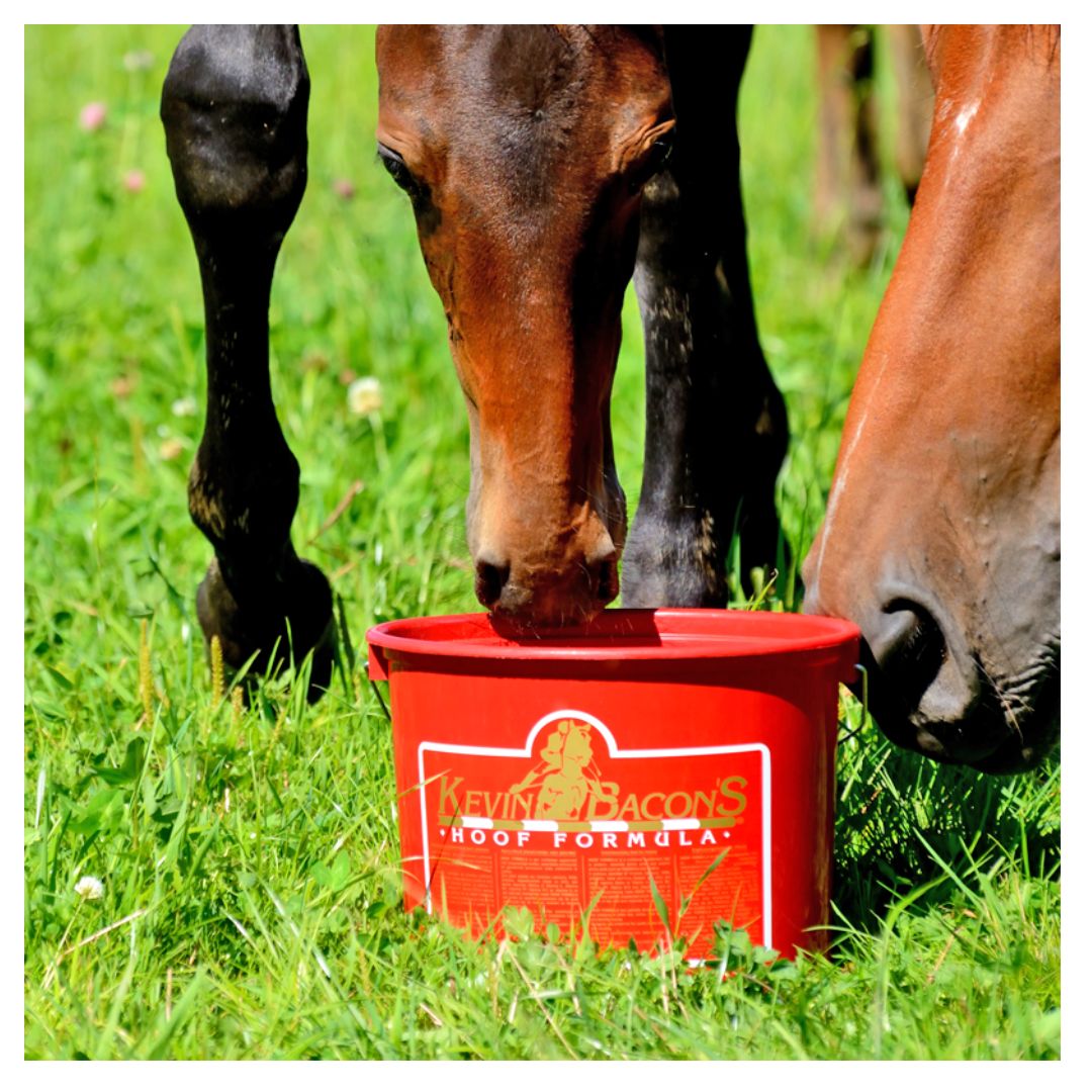 Hoof Formula