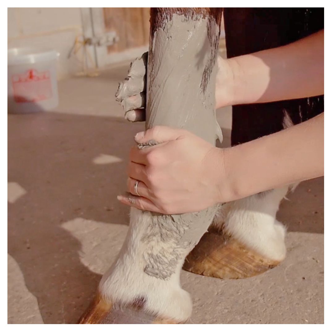 Manicouagan Clay