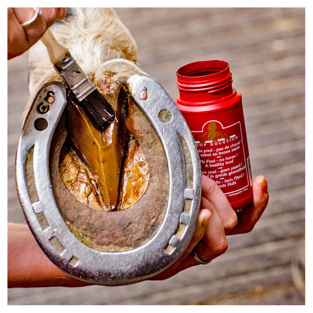 Hoof Solution